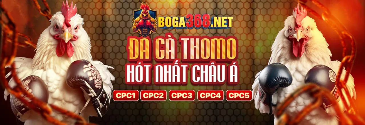 Kênh Liên Hệ Độc Quyền Thabet88