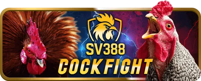Cách Chọn Game Giải Trí Phù Hợp Tại Thabet88